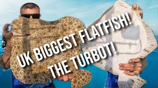 Fishing For UK’s LARGEST Flatfish  Drifting BIG Sandbanks  Turbot Fishing UK [upl. by Esilehc286]