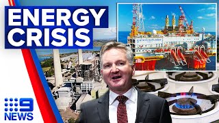 Whats to blame for Australias natural gas shortage  9 News Australia [upl. by Noyrb196]