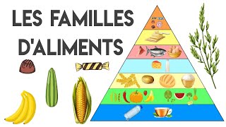 Les familles daliments  la pyramide alimentaire [upl. by Nwad]