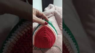 Quem aí já está nesse clima de verão Bikini de crochê melancia 🍉 beach crochet [upl. by Mook]