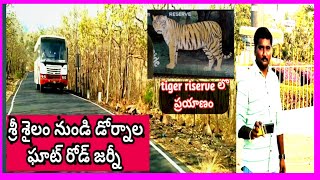 Srisailam To Dornala Ghat Road JourneyNallamala Forest [upl. by Eyks956]