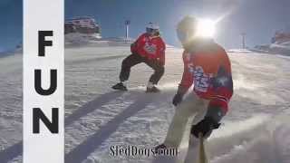 Sled Dogs Snowskates  New sport on the slopes [upl. by Xyno]