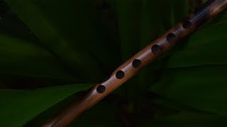 Emotional Native Tribal Flute Backing Track In A Minor Jonny Lipford Series [upl. by Holloway]