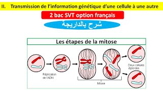 Transmission de linformation génétique dune cellule à une autre 2 bac svt شرح بالداريجة [upl. by Acnairb162]