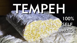 Tempeh selber machen  traditionell indonesische Eiweißquelle [upl. by Holtorf]