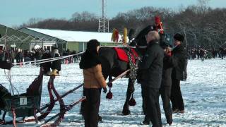 Arreslee Manege Gaasterland [upl. by Ahsein198]