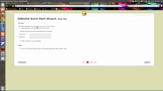 How to Setup SabNZBD To download from Usenet [upl. by Amehr755]