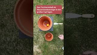 DIY Olla Pflanzenbewässerung basteln [upl. by Toby]