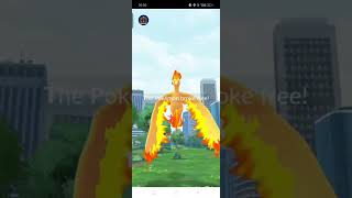 moltres Pokemon go pokemongo youtube shorts [upl. by Giarla]