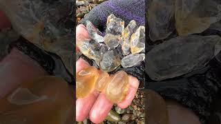 Finding Natural Smoky Quartz Quartz Crystal Gemstones By Mining Hand In River quartz crystals [upl. by Phene]