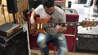 Fodera Elite Emperor Deluxe5 strings with Bartolini pick ups [upl. by Ydnis387]