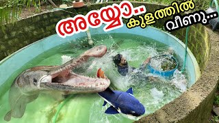 🔥 മുതലേയുള്ള കുളത്തിൽ വീണു  Pond Restoration went Wrond 😥 [upl. by Eirbua]