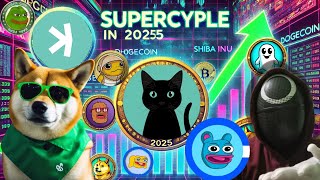 2 Memecoin Super Cycles In 2025  Meme Coin Expert Murad Mahmudov [upl. by Onaivlis]