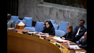 Briefings by Chairs of Subsidiary Bodies of the Security Council  Security Council 9218th Meeting [upl. by Nnaeitak391]