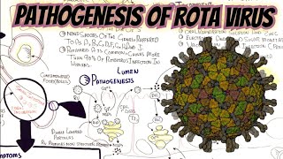 RotaVirus pathophysiology Management Sign Symptoms umerfarooqbiology7083 [upl. by Yhtomiht]