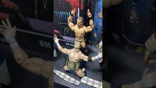 MJF x CM Punk Figure Collection Shelf wwe shorts [upl. by Adiv796]