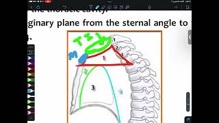 ANATOMY L1 Mediastinum amp Pericardium Part1  CVS [upl. by Azilef]