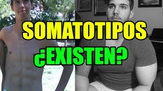 SOMATOTIPOS MESOMORFOS ENDOMORFOS Y ECTOMORFOS ¿EXISTEN [upl. by Dimmick]