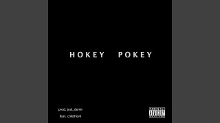 Hokey Pokey Remix [upl. by Noivax]