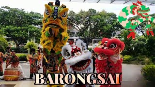 Barongsai around the mall dan liong dance  Barongsai 2024 [upl. by Laval]