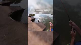 There was a swamp puppy hiding up in here youtuber fishing ponds fish blackops1 d [upl. by Jessie118]