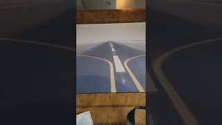 BUSNESS CLASS EMIRATES BOEING 777300ER LANDING IN DUBAI UNITED ARAB EMIRATES businessclass [upl. by Eilama294]