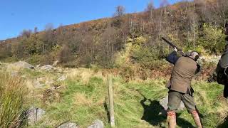 Pheasant amp Partridge Shooting In North Yorkshire [upl. by Atnom]