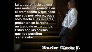 TETRACROMATISMO MARLON TINOCO [upl. by Edrei261]