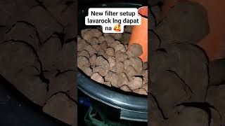 New filter Lava rocks lang sapat na goldfishtank aquariumfish fish goldfish [upl. by Ecirpak]