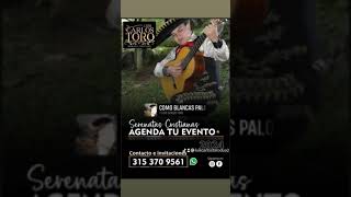 como blancas palomas Luis Carlos Toro compositor [upl. by Saval]