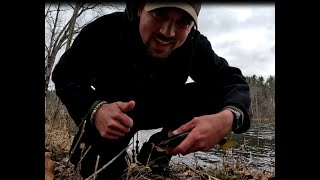 River Trout Fishing in Tennessee [upl. by Arihsan]