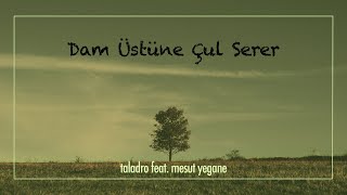 Taladro  Dam Üstüne Çul Serer  ft Mesut Yegane [upl. by Artiek]