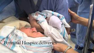 Perinatal Hospice Video [upl. by Dun366]