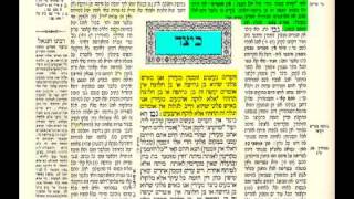 תלמוד בבלי  גמרא  בצורה שלא הכרתם שיעור 1 talmud learning tora4all [upl. by Deyas]