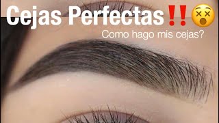 Cejas Perfectas Facil Paso a Paso  Monika Sanchez [upl. by Tarrsus]