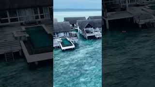 Luxury Maldives water villa shorts maldivesresorts [upl. by Ecnerwaled]