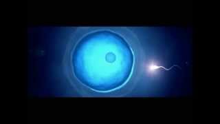 Melanin Fluoride and the Pineal Gland [upl. by Danit]