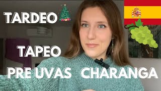 VLOG Navidades en España [upl. by Etnecniv]