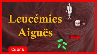 🎗️ Leucémie Aigue 🩸  symptômes🤧 traitements💉  Cours  Hématologie [upl. by Annoyik229]