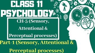 Class 11 Psychology Chapter5  Part1 Sensory Attentional amp Perceptual processes  Text book [upl. by Savina]