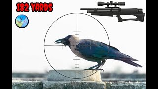 LONG RANGE DEAD SHOT HUBEN K1 LOVERS FALCON SLUGS [upl. by Aicsila]