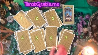 Tarot gratis Tirada interactiva Tarot interactivo [upl. by Ahsenak]