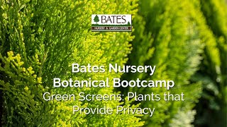 Green Screens Choosing Evergreen Plants that Offer Privacy [upl. by Teyut]