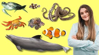 Learn the Names of SEA ANIMALS for ALL  Easy English Sea Animals  Ocean Animal Names [upl. by Okoy]