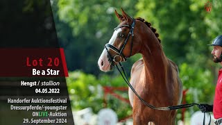 Auktionsfestival Lot 20 Be a Star Hengst v Benicio  Dancier [upl. by Ojoj]