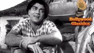 Mohammed Rafi Hit Song  Main Rikhsha Wala Main Riksha Wala  Shankar Jaikishan  Chhoti Bahen [upl. by Hooke]