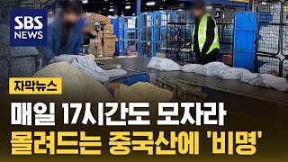 이미 작년 넘어섰다…몰려드는 중국산에 비명 자막뉴스  SBS [upl. by Meehsar703]