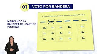 Formas de Votar Elección Diputados 2024 [upl. by Ash]