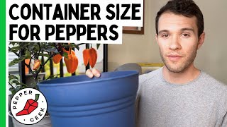 Container Size for Pepper Plants  Ideal Pot Size  Pepper Geek [upl. by Sinoda753]