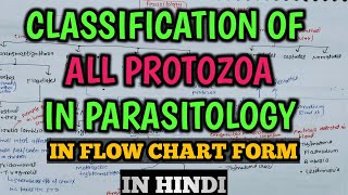 Parasitology  Classification of Protozoa in Microbiology  Classification of Parasites Flow Chart [upl. by Melloney]